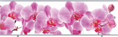 Экран 1,48 "Премиум Арт" №10 ветка орхидеи