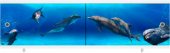 Экран 1,68 "Арт" дельфины