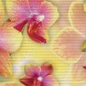 Коврик мерный ПВХ-Фотопечать,0,65х15м Орхидея (цена за 1 метр) 